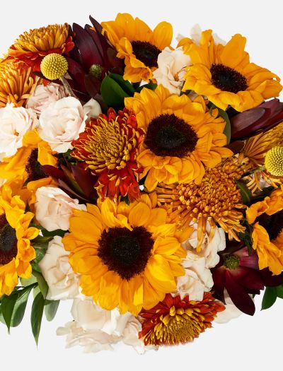 Double The Seasonal Bloom